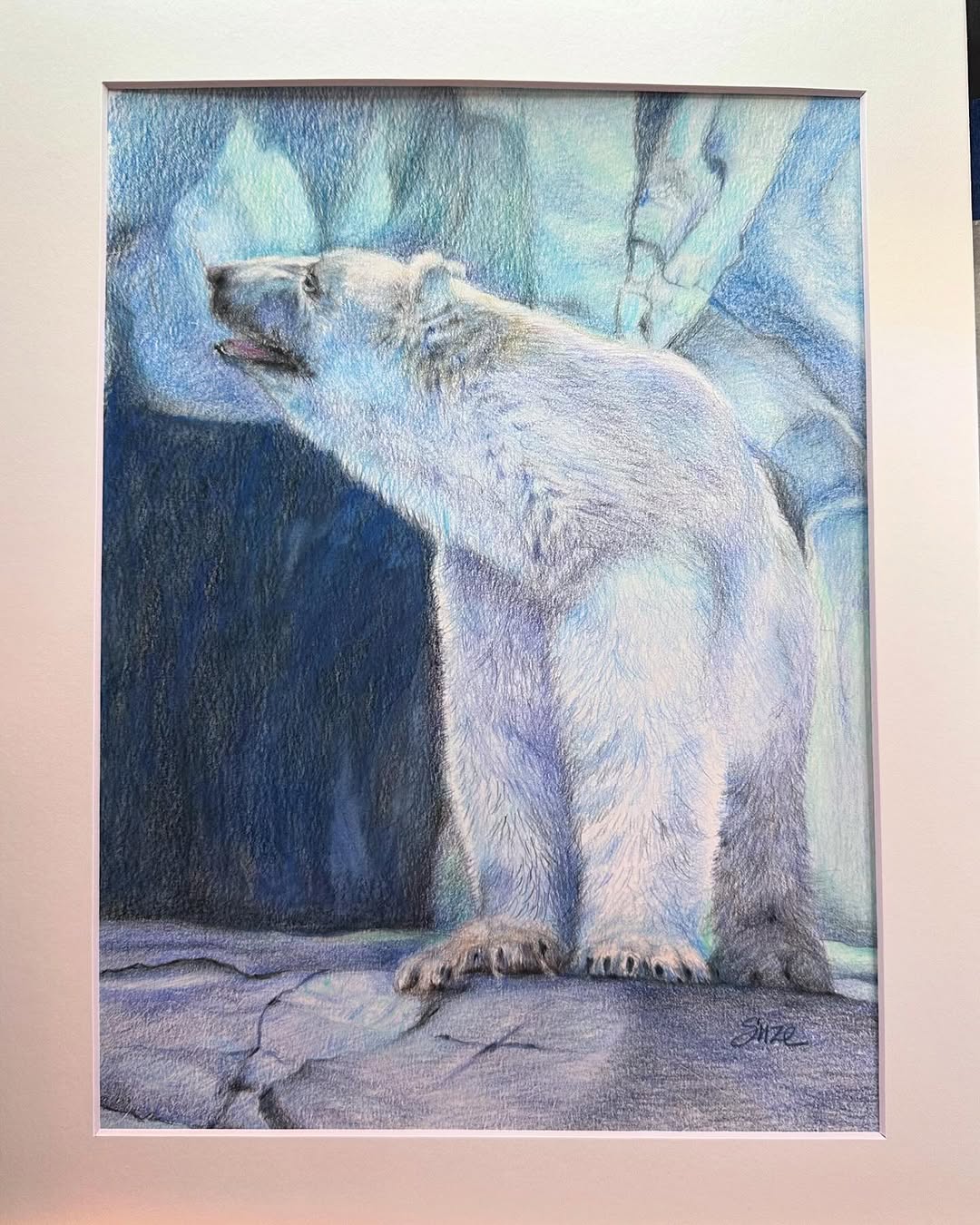 Polar Bear, colored pencil artwork by Suze