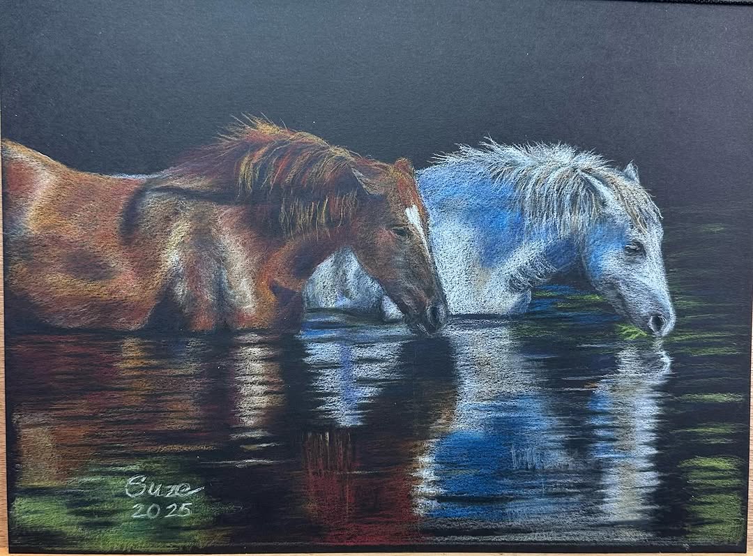 Wild Horses at Salt River, colored pencil by Susan Weaver