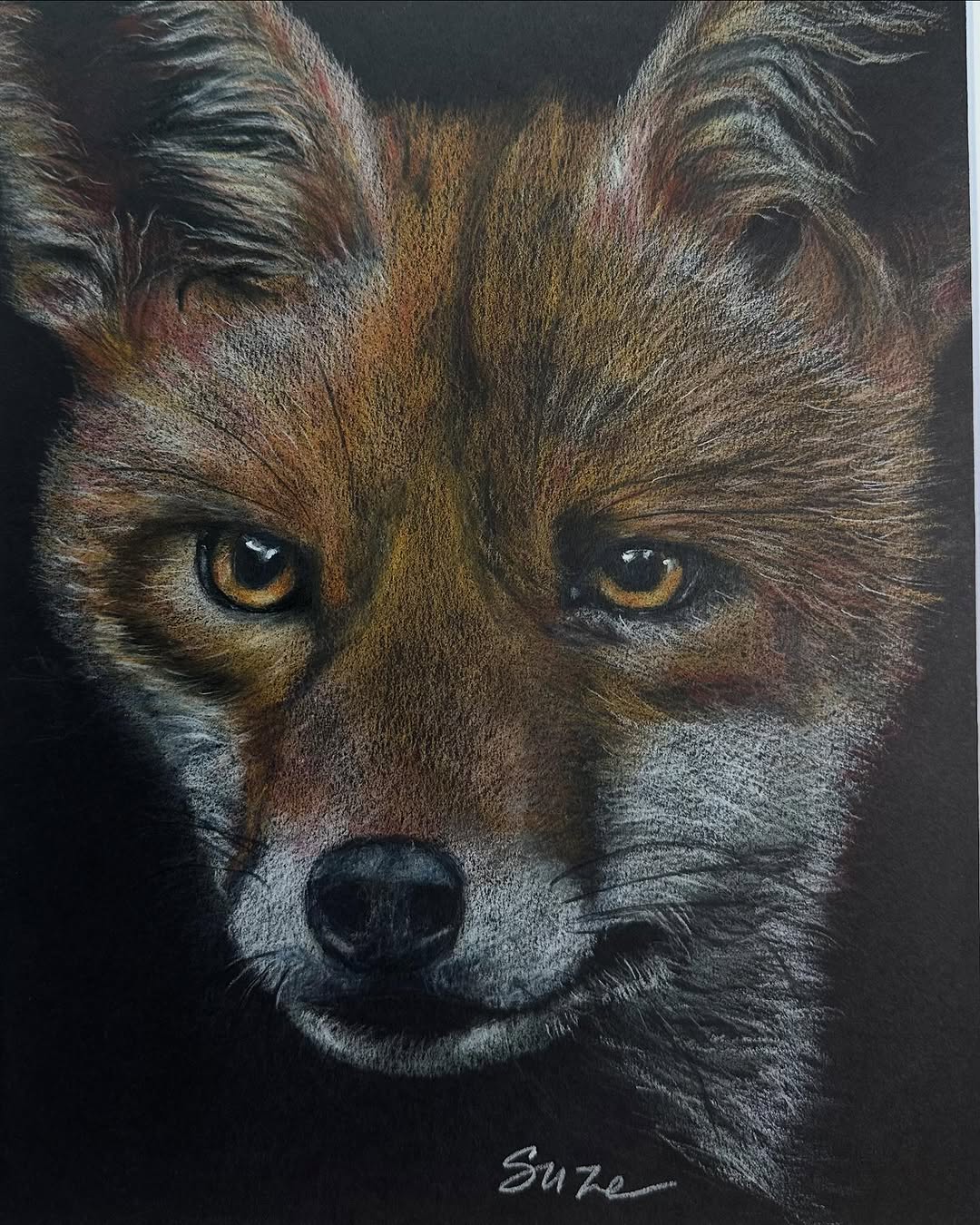 Out of the Darkness Red Fox, colored pencil by Suze