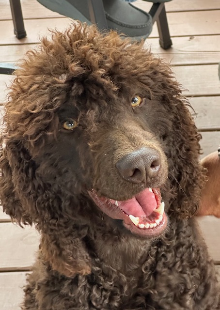 Reference photo of the subject — it starts with a photo you love